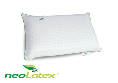 NeoLatex Стандартна