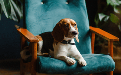 Мебели по поръчка на изгодни цени – мисията възможна