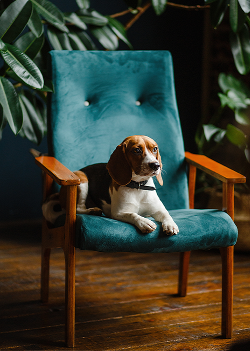 фирма за мебели по поръчка